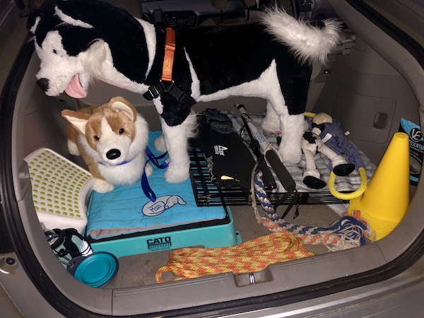 Dog training supplies clearance near me